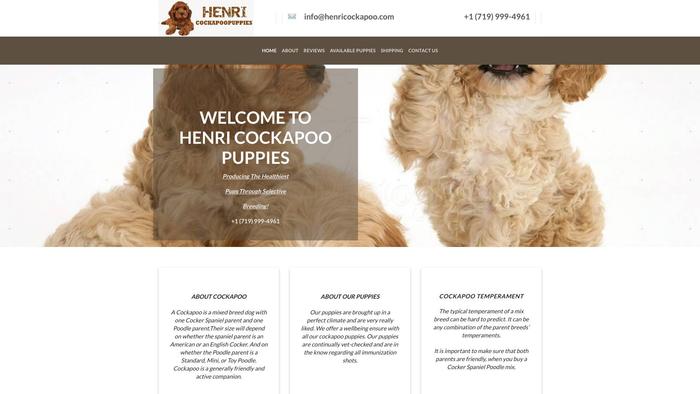 Henricockapoo.com - Cockapoo Puppy Scam Review