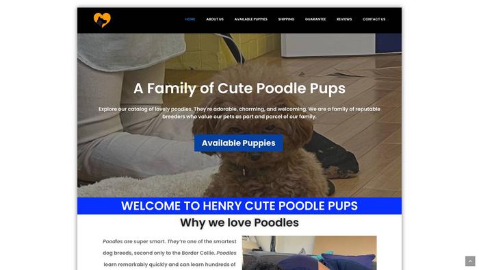 Henrycutepoodlepups.com - Poodle Puppy Scam Review