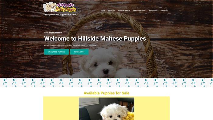 Hillsidemaltesepuppies.com - Maltese Puppy Scam Review