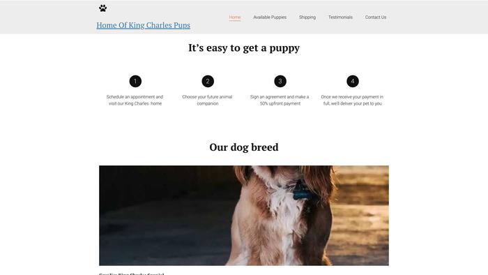 Homeofkingcharlespuppies.net - Cavalier King Charles Spaniel Puppy Scam Review