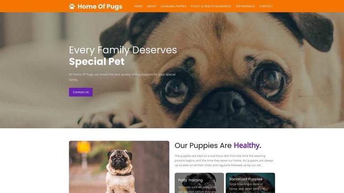 Homeofpugpuppy.com - Pug Puppy Scam Review