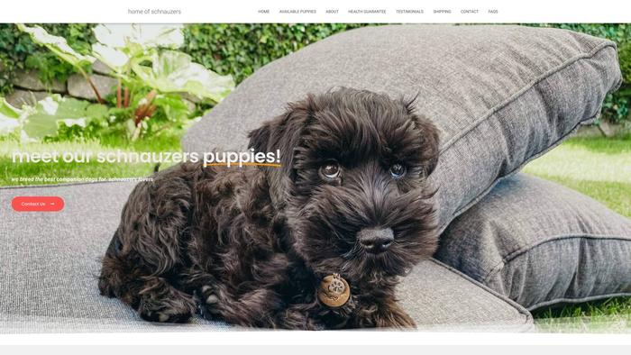 Homeofschnauzers.com - Schnauzer Puppy Scam Review