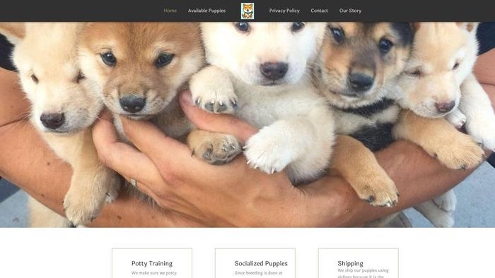 Homeofshibainupuppies.online - Shibhainu Puppy Scam Review