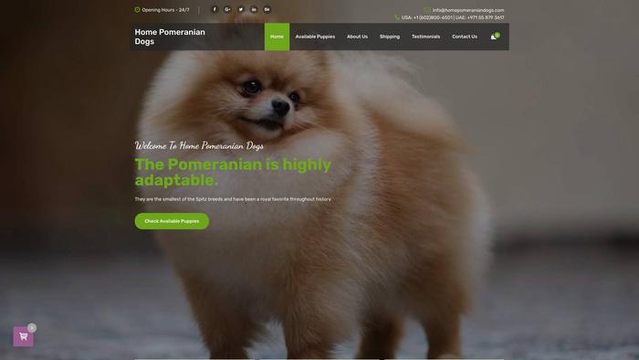 Homepomeraniandogs.com - Pomeranian Puppy Scam Review