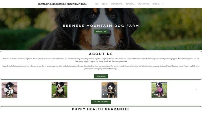 Homeraisedbernesemountaindog.com - Bernese Mountain Dog Puppy Scam Review