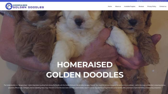 Homeraisedgoldendoodles.com - Golden Doodle Puppy Scam Review