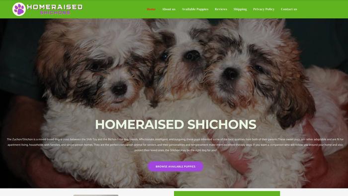 Homeraisedshichons.com - Shichon Puppy Scam Review