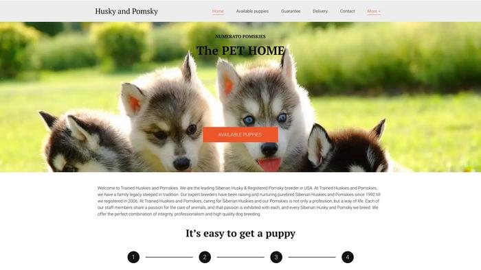 Huskyandpomskyusa.us - Husky Puppy Scam Review