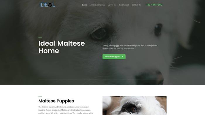 Idealmaltesehome.com - Maltese Puppy Scam Review