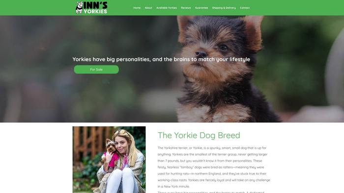 Innsyorkiepuppies.com - Yorkshire Terrier Puppy Scam Review