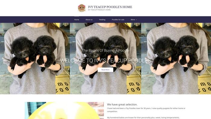 Ivyteacuppoodles.com - Poodle Puppy Scam Review