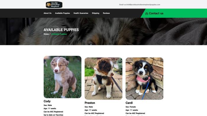 Jacobiaustralianshepherdpuppies.com - Germanshepherd Puppy Scam Review