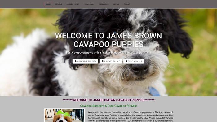 Jamesbrowncavapoo.com - Cavapoo Puppy Scam Review