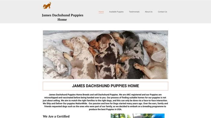 Jamesdachshundshome.com - Dachshund Puppy Scam Review