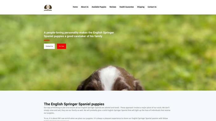 Jamesesspuppies4rehoming.com - Spaniel Puppy Scam Review