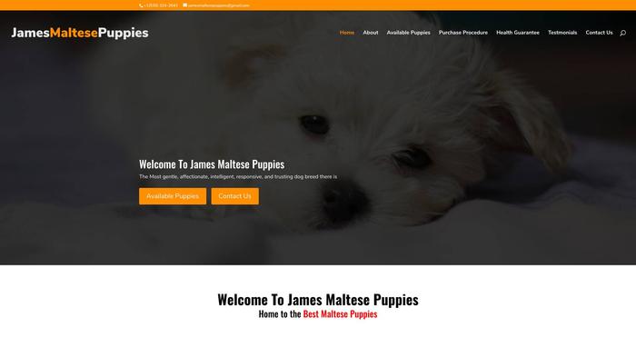 Jamesmaltesepuppies.com - Maltese Puppy Scam Review