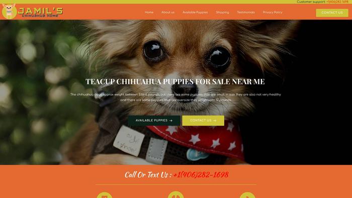 Jamilchihuahuahome.com - Chihuahua Puppy Scam Review