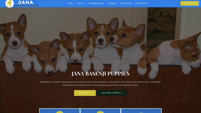 Janabasenjipuppies.com - Basenji Puppy Scam Review