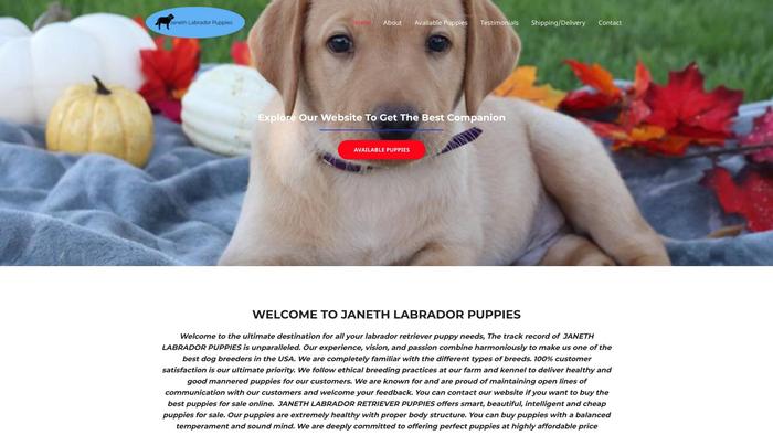 Janethlabradorretrievers.store - Golden Retriever Puppy Scam Review