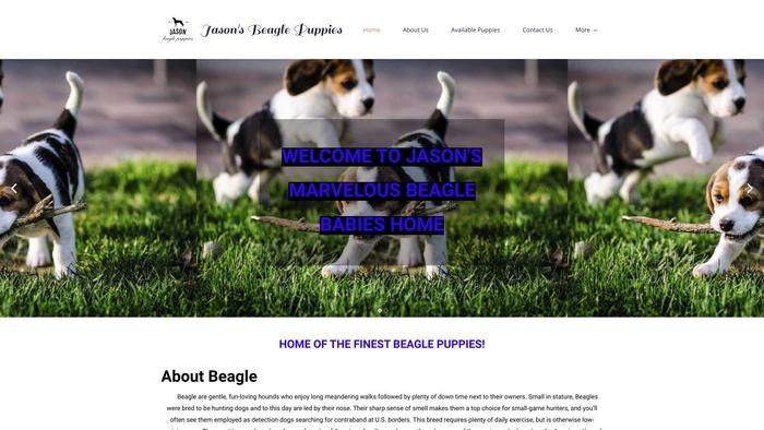 Jasonbeaglepuppies.com - Beagle Puppy Scam Review