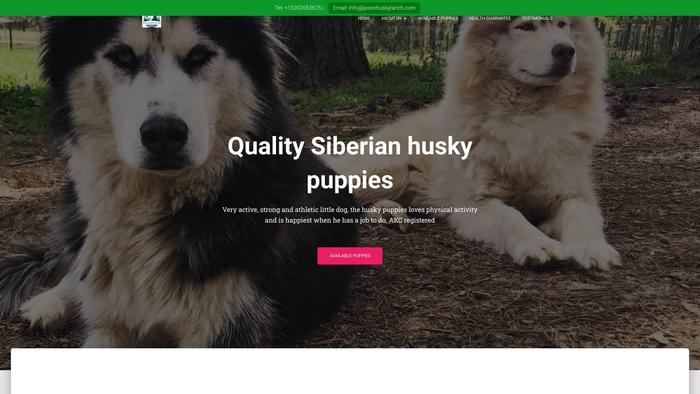 Jasonhuskyranch.com - Husky Puppy Scam Review