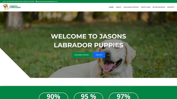 Jasonslabradorpuppies.com - Labrador Puppy Scam Review