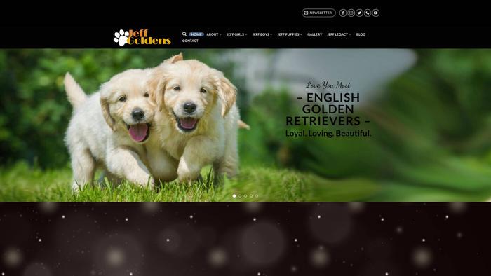 Jeffgoldenretrievers.com - Golden Retriever Puppy Scam Review