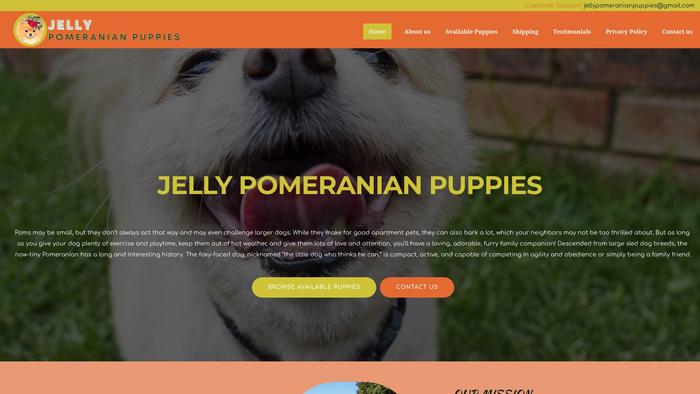 Jellypomeranianpuppies.com - Pomeranian Puppy Scam Review