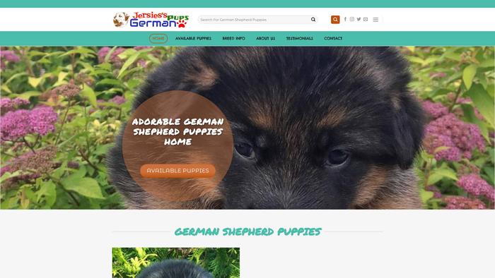 Jessiesgermanpuphome.com - Germanshepherd Puppy Scam Review