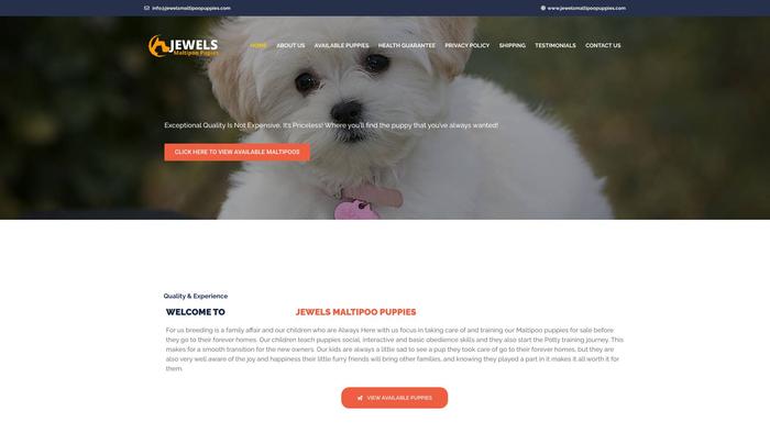 Jewelsmaltipoopuppies.com - Maltipoo Puppy Scam Review