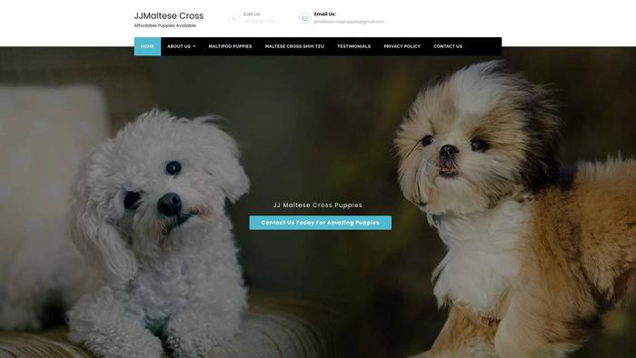 Jjmaltesecrosspuppies.com - Maltese Puppy Scam Review