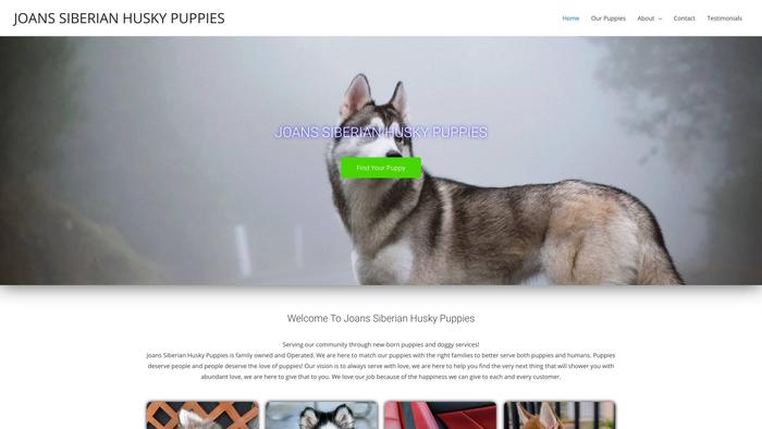 Joanssiberianhuskypuppies.com - Husky Puppy Scam Review