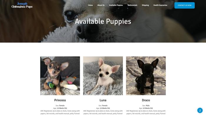 Josephchihuahuapups.com - Chihuahua Puppy Scam Review