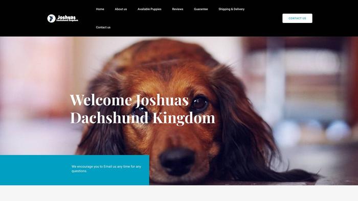 Joshuasdachshundkingdom.com - Dachshund Puppy Scam Review