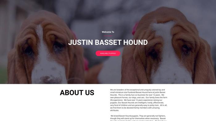 Justinbassethoundpuppies.com - Bassethound Puppy Scam Review