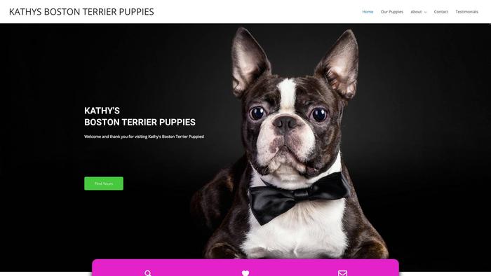 Kathysbostonterrierpuppies.com - Terrier Puppy Scam Review