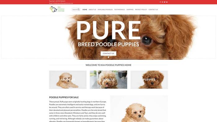 Kiapoodlepuppieshome.com - Poodle Puppy Scam Review