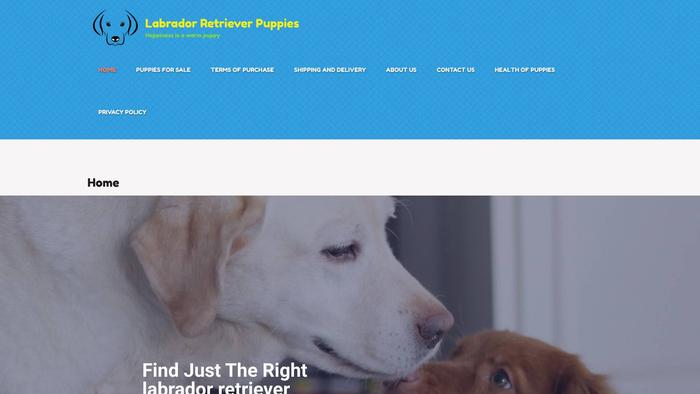 Labradorretrieverpup.dog - Golden Retriever Puppy Scam Review