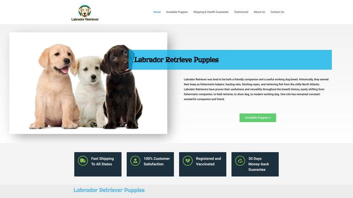 Labradorretrieverpuppys.com - Golden Retriever Puppy Scam Review