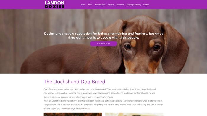 Landondoxies.com - Dachshund Puppy Scam Review