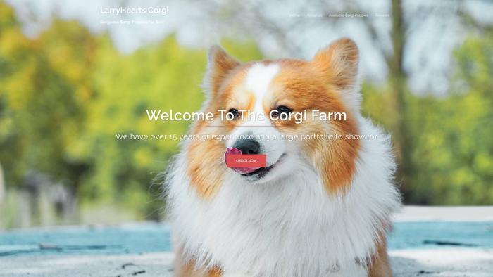 Larryheartscorgipuppies.com - Corgi Puppy Scam Review