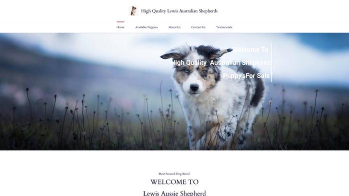 Lewisaustralianshepherd.com - Germanshepherd Puppy Scam Review