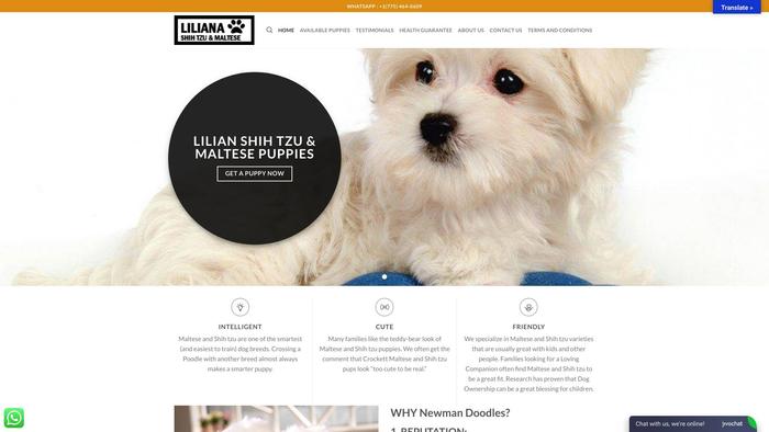 Lilianashihtzuemaltese.com - Maltese Puppy Scam Review