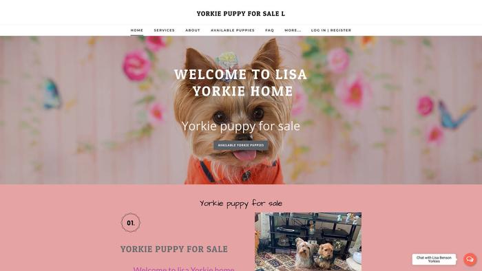 Lisabensonyorkies.com - Yorkshire Terrier Puppy Scam Review