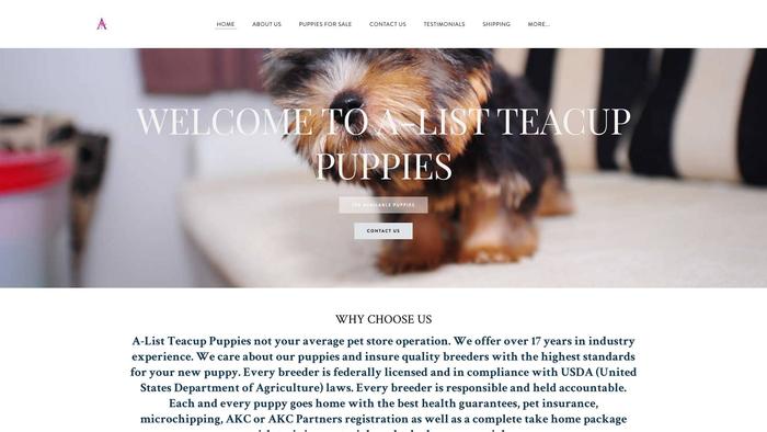 Listateacuppuppies.com - Yorkshire Terrier Puppy Scam Review