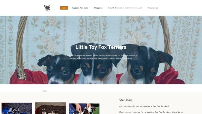 Littletoyfoxterriers.com - Terrier Puppy Scam Review