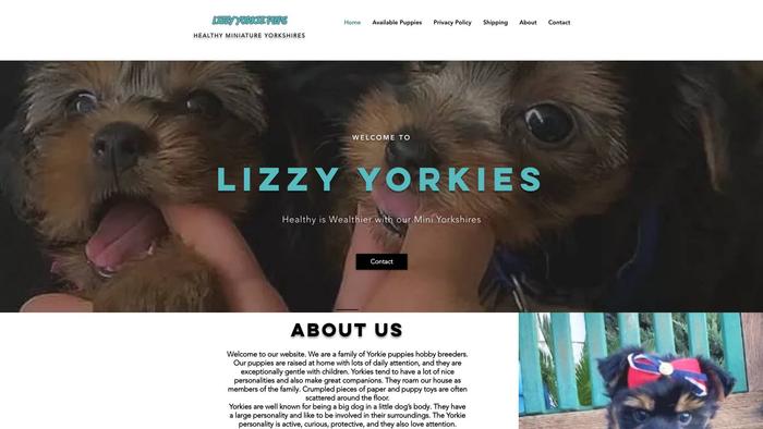 Lizzyyorkshires.com - Yorkshire Terrier Puppy Scam Review