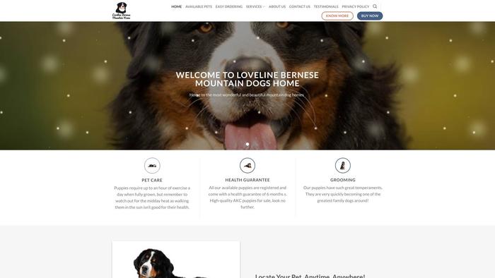 Lovelinebernesemountainhome.com - Bernese Mountain Dog Puppy Scam Review