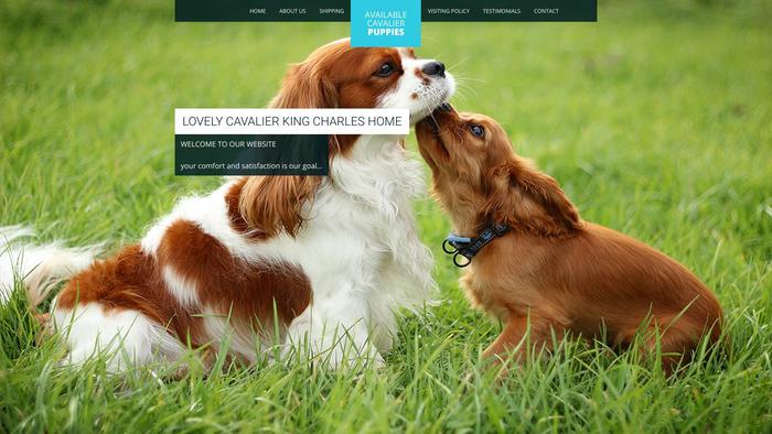 Lovelycavalierkingcharles.com - Cavalier King Charles Spaniel Puppy Scam Review