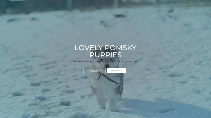 Lovelypomskypuppies.com - Pomeranian Puppy Scam Review